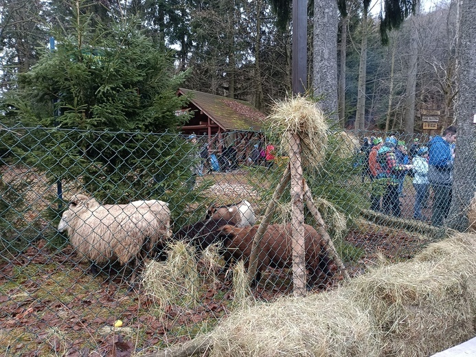 Orszak Trzech Króli 2023 na Górę Igliczną. Z trzech stron