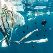 Ilość plastiku na dnie morskim potroiła się w ostatnich 20 latach