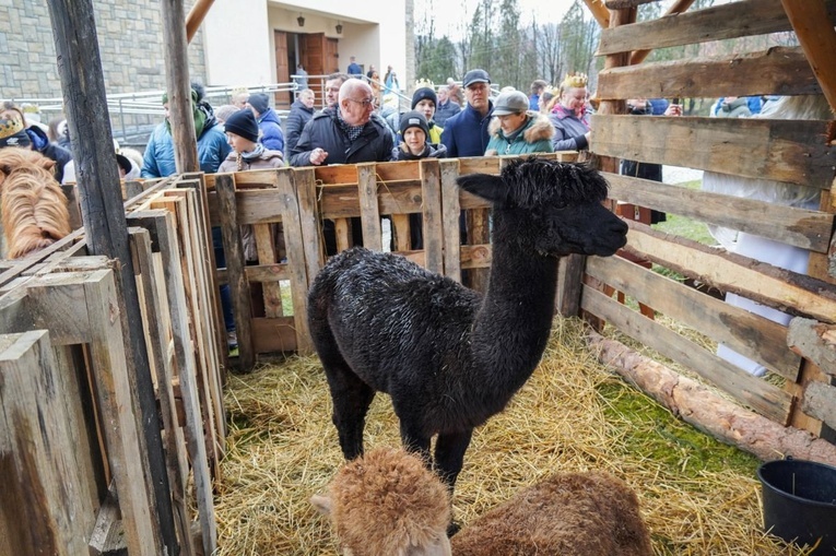 Szymbark. Orszak 2023