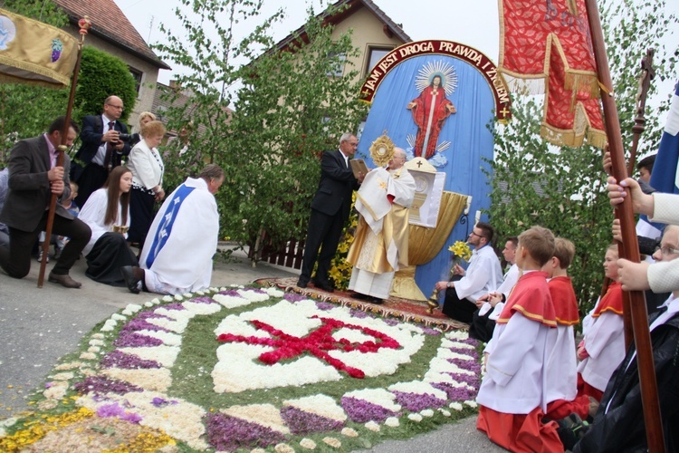 Tradycja kwietnych dywanów na Boże Ciało w Kluczu, Olszowej, Zalesiu Śląskim i Zimnej Wódce