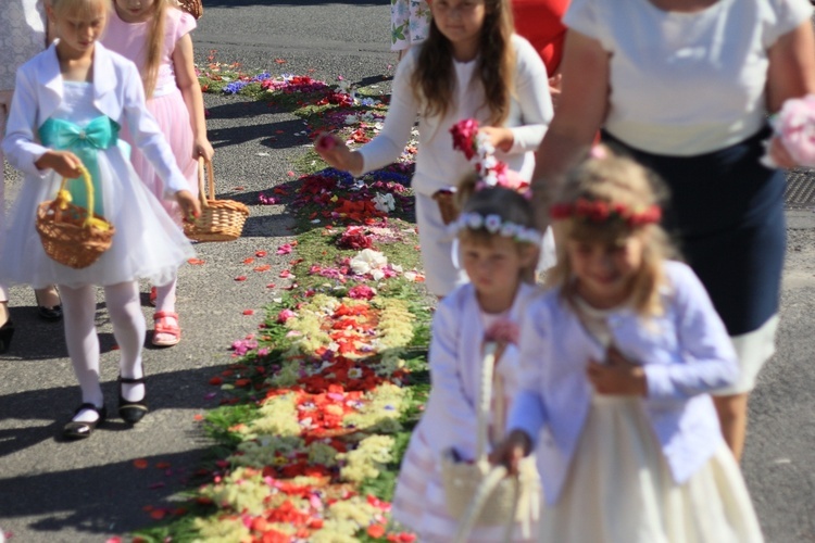 Tradycja kwietnych dywanów na Boże Ciało w Kluczu, Olszowej, Zalesiu Śląskim i Zimnej Wódce