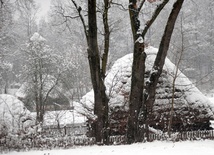 Obchody 160. rocznicy wybuchu powstania styczniowego w Muzeum Wsi Radomskiej 