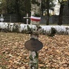 Mogiła żołnierza na cmentarzu wojennym w Stalowej Woli-Rozwadowie.