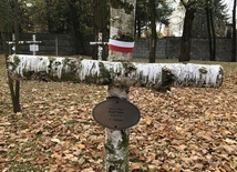 Mogiła żołnierza na cmentarzu wojennym w Stalowej Woli-Rozwadowie.