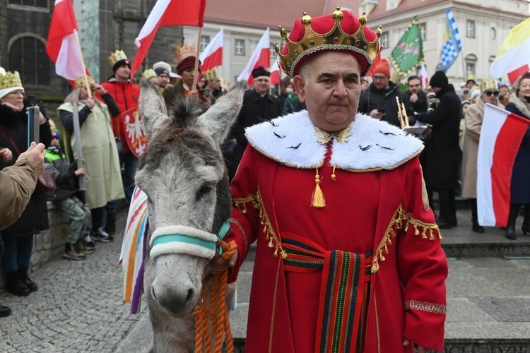 Osiołki na świątecznych spotkania w Świdnicy