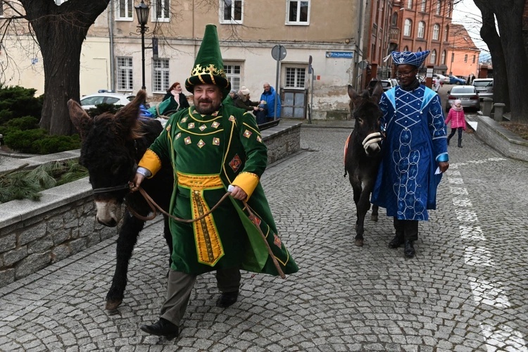 Osiołki na świątecznych spotkania w Świdnicy