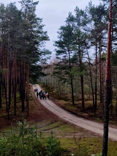 "Gorzowskie Wędrowanie" do Bledzewa