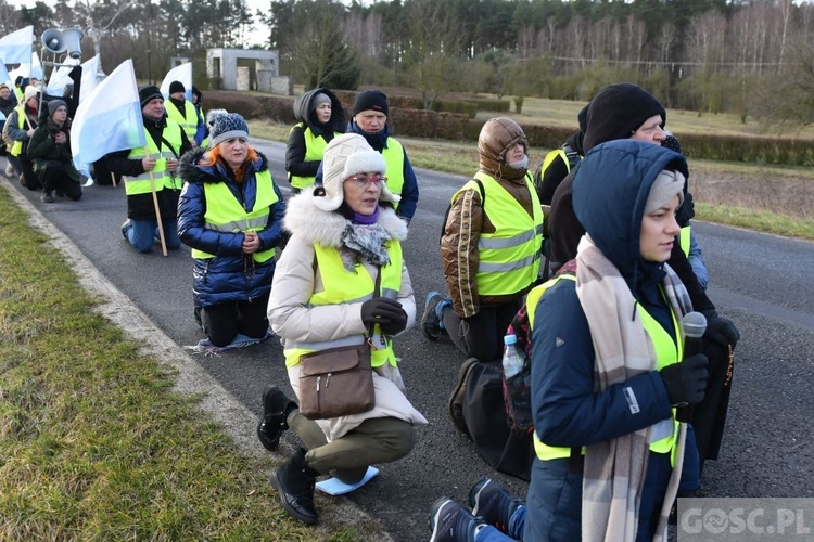 Comiesięczna pielgrzymka z Międzyrzecza do Pani Cierpliwie Słuchającej