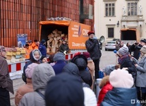 Kraków. Tysiąc budek lęgowych dla ptaków z okazji walentynek