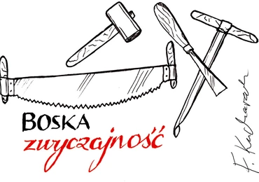 Pogląd na wygląd