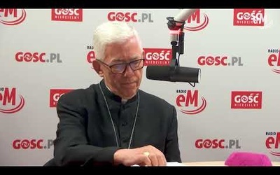 Abp Wiktor Skworc: Szafarze to nie są uzurpatorzy, oni są posłani przez Kościół