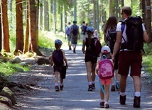 5 powodów, dla których warto wyjść na spacer do lasu