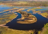 Meandry Biebrzy są domem wielu gatunków rzadkich ptaków.