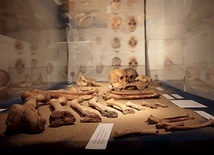 ◄	Wystawę oglądać można w Podzamczu MAH  w Elblągu.