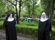 ▲	− Pszczoły uczą nas, że każda drobinka się liczy, bo jeden owad żyje tylko 30 dni i potrafi wyprodukować zaledwie łyżeczkę miodu. Każda z nich jest jednak potrzebna − przypominają gospodynie tego miejsca.