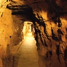 Legendarny stwór mieszkał w górniczych tunelach  pod miastem.