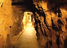 Legendarny stwór mieszkał w górniczych tunelach  pod miastem.