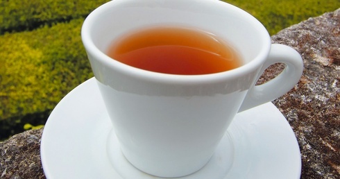 Jak herbata wpływa na zdrowie?