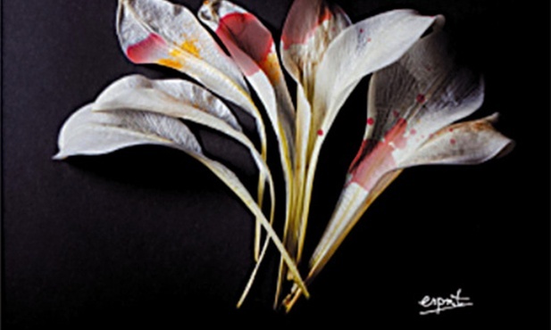 Jakub JałowiczorŚWIĘTE NIEWydawnictwo EspritKraków 2023ss. 176