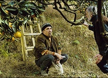 Do zobaczenia w sieci