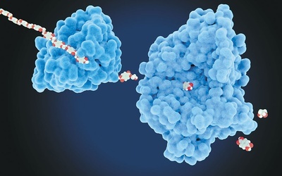 Model petazy – enzymu przyspieszającego rozkład tworzywa PET.