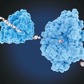 Model petazy – enzymu przyspieszającego rozkład tworzywa PET.