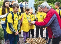 Sadzenie żonkili pod zielonogórskim hospicjum.