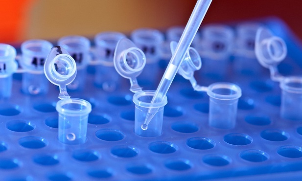 Pierwsza terapia genowa oparta na systemie CRISPR zatwierdzona w USA