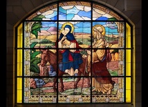 Transmisja Mszy św. w Święto Świętej Rodziny Jezusa, Maryi i Józefa - 31 grudnia 2023 r.