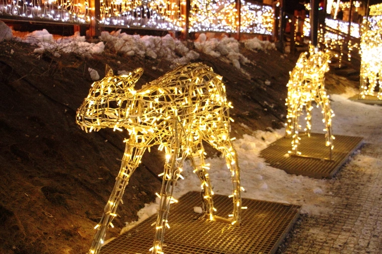 Kraina Światła po raz 7. na Gubałówce