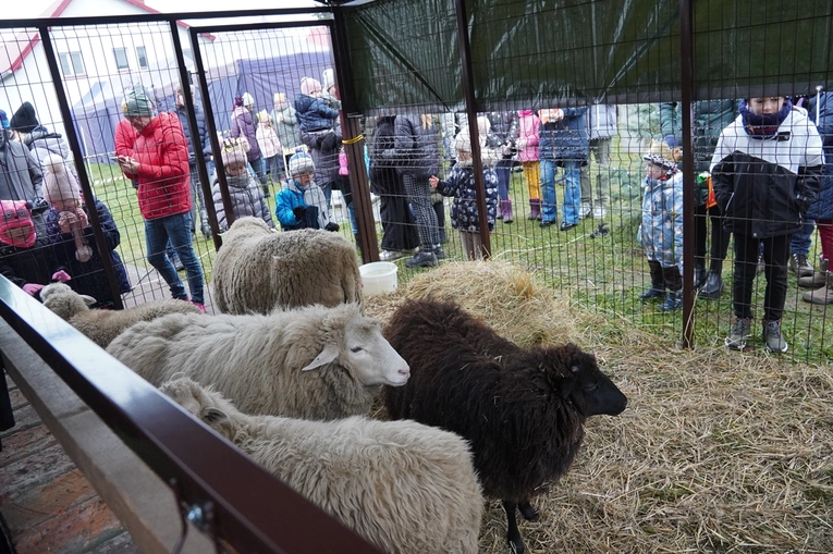 Orszak Trzech Króli w Nadolicach Wielkich i Małych 2024
