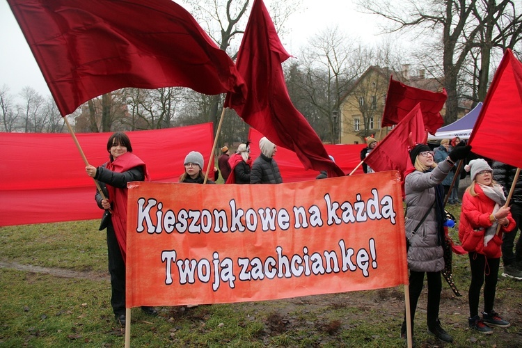 Orszak Trzech Króli w Oleśnicy 2024