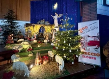 Stajenka w gliwickim kościele Najświętszego Serca Pana Jezusa.