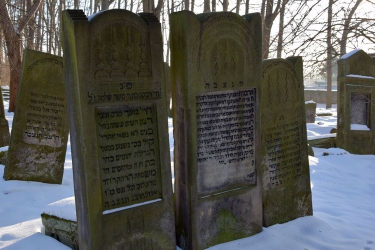Dzień Judaizmu w Szydłowcu i Radomiu