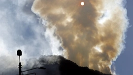 Kolumbia: Ogłoszono stan klęski żywiołowej w związku z licznymi pożarami lasów