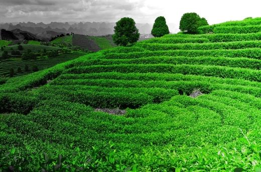 Chiny