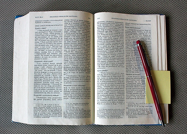 Medytacje mają pogłębić świadomość eucharystyczną.