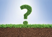Zielony alfabet – o czym „rozmawiają” rośliny?