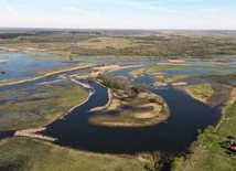 Piękne bagno