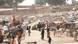 Setki sudańskich dzieci bez opieki w obozach dla uchodźców w Czadzie