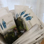 Dzień Życia Konsekrowanego