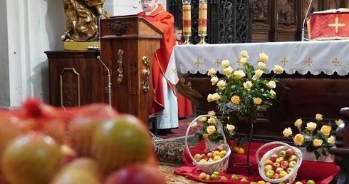 Odpust ku czci św. Doroty we Wrocławiu