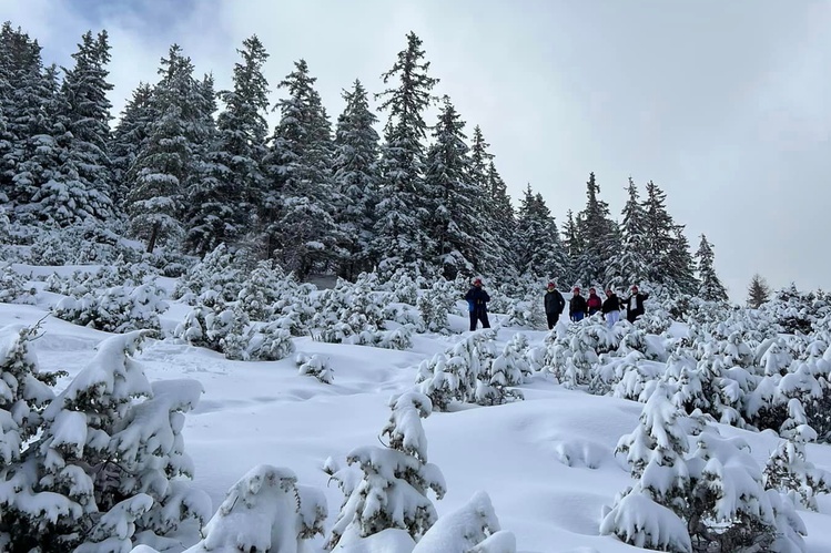 Ferie z widokiem na Giewont