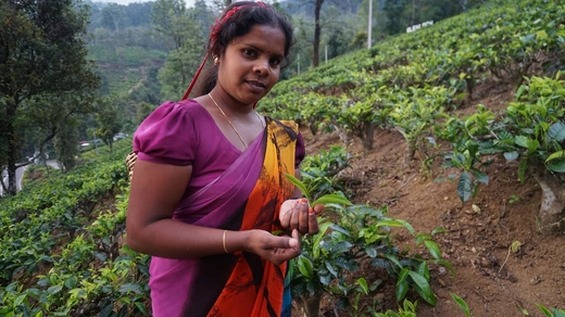 Sri Lanka