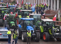 Wiceminister rolnictwa: to nie jest protest przeciwko polskiemu rządowi