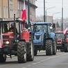 Elbląska manifestacja była jedną z największych w kraju.