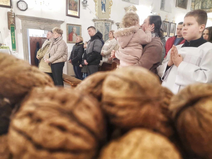 Orzechy św. Świerada