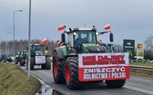 Gorzyczki. Ogólnopolski protest rolników