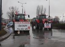 W strajku w Skierniewicach udział wzięło ponad 200 pojazdów, w tym 160 ciągników rolniczych.