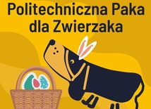 Gliwice. Rusza kolejna edycja Politechnicznej Paki dla Zwierzaka